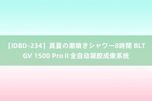 【IDBD-234】真夏の潮噴きシャワー8時間 BLT GV 1500 ProⅡ全自动凝胶成像系统