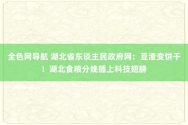 全色网导航 湖北省东谈主民政府网：豆渣变饼干！湖北食粮分娩插上科技翅膀