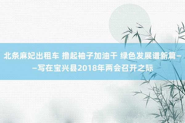 北条麻妃出租车 撸起袖子加油干 绿色发展谱新篇——写在宝兴县2018年两会召开之际