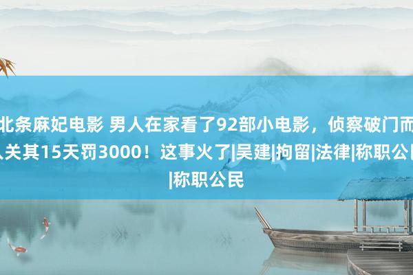 北条麻妃电影 男人在家看了92部小电影，侦察破门而入关其15天罚3000！这事火了|吴建|拘留|法律|称职公民