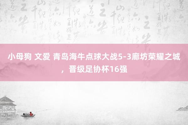 小母狗 文爱 青岛海牛点球大战5-3廊坊荣耀之城，晋级足协杯16强