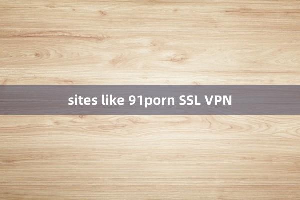 sites like 91porn SSL VPN