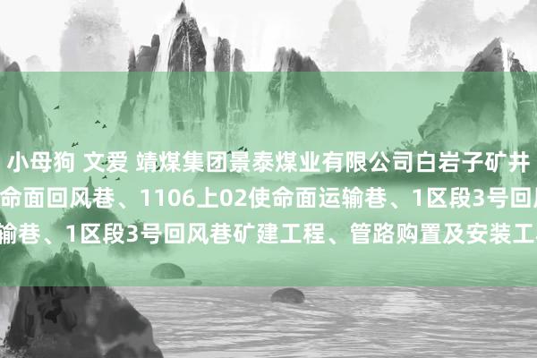 小母狗 文爱 靖煤集团景泰煤业有限公司白岩子矿井及选煤厂1106上02使命面回风巷、1106上02使命面运输巷、1区段3号回风巷矿建工程、管路购置及安装工程招标公告